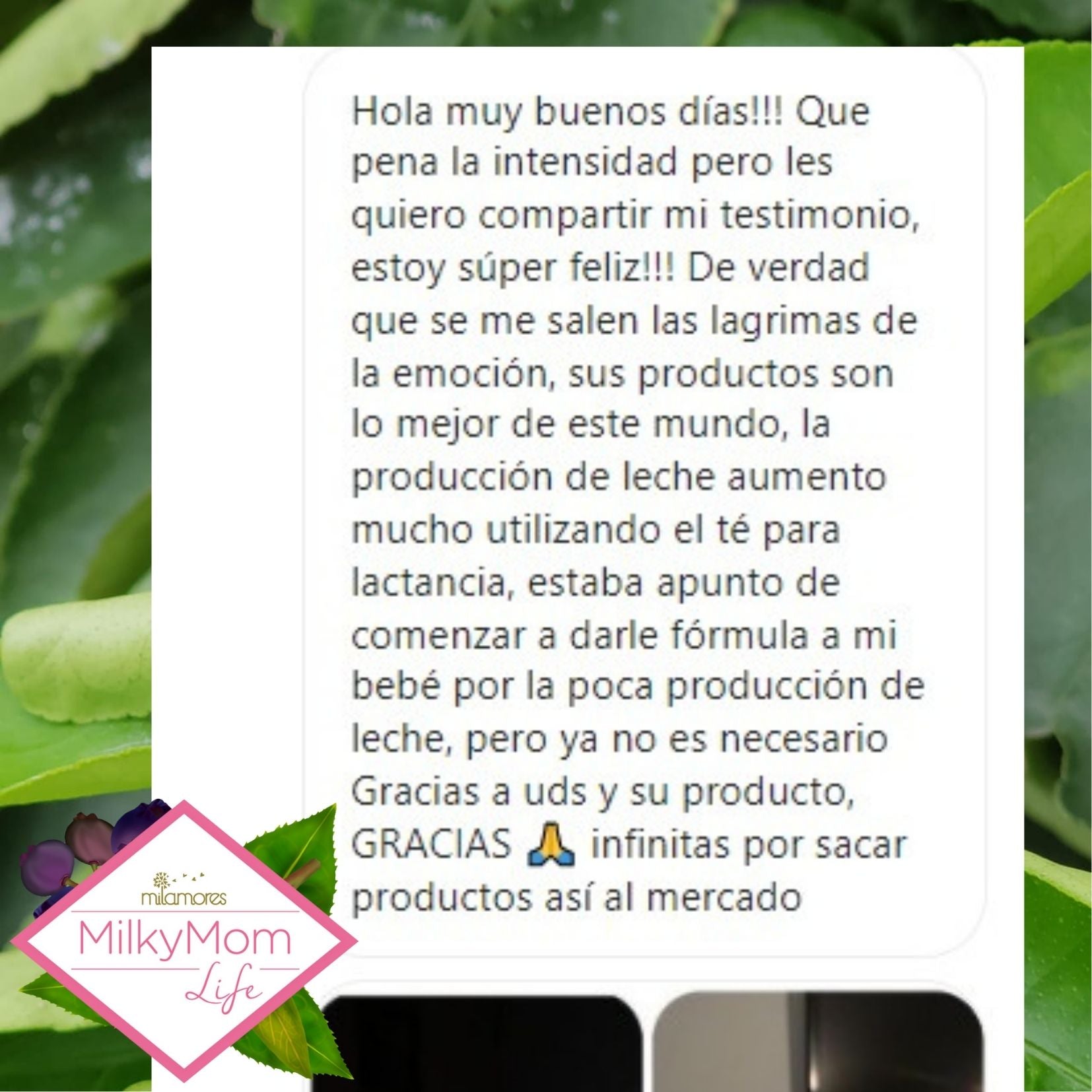 La Producción de leche aumento con la infusion MilkyMom