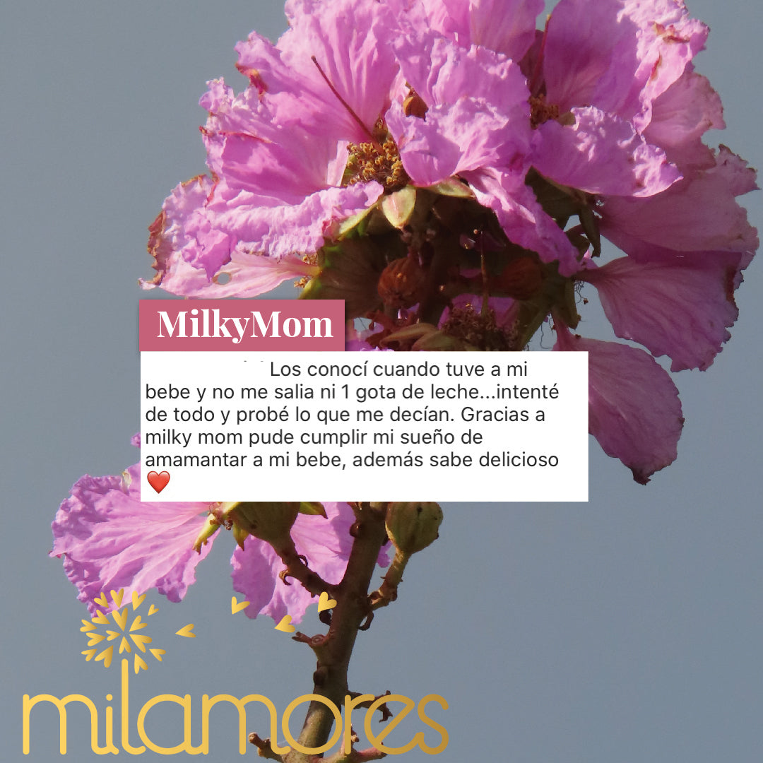 MilkyMom-Milamores-Maternidad-02