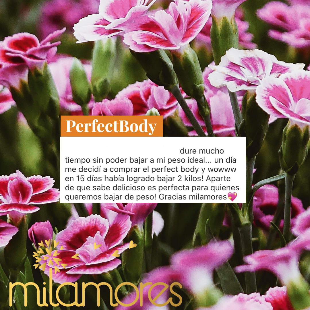 Perfectbody Milamores Perfectbody - Infusión Natural Saludable ayuda bajar peso ...