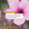 PerfectBody-Milamores-Bajardepeso-03