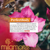 PerfectBody-Milamores-Bajardepesosaludablemente