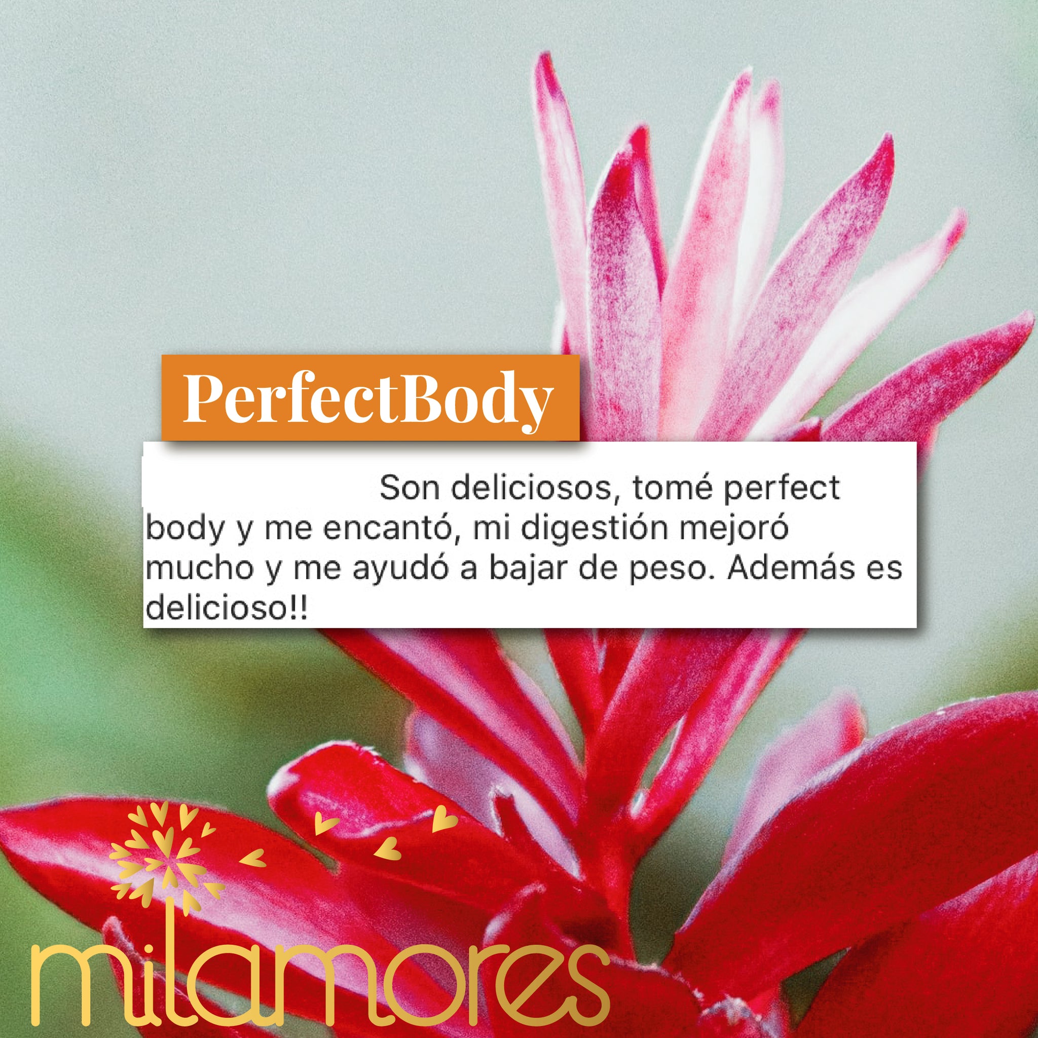 PerfectBody-Milamores-Colombia-Bajardepeso