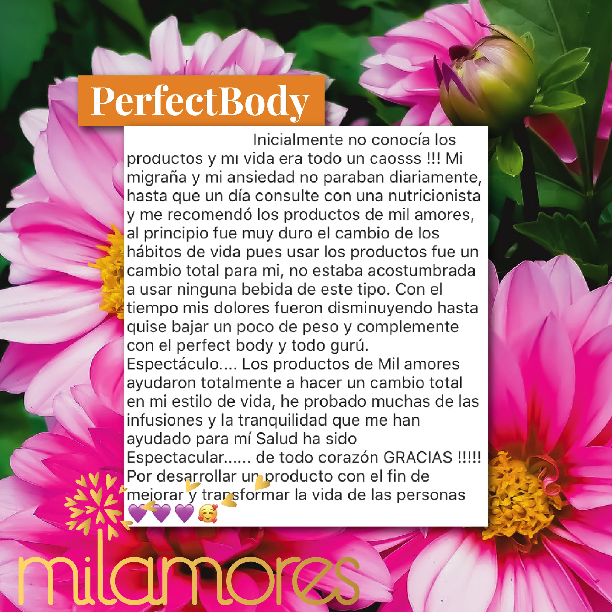 PerfectBody-Milamores-Colombia-Infusiones-Bajardepeso