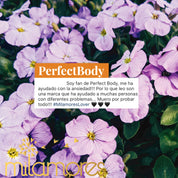 PerfectBody-Milamores-infusiones