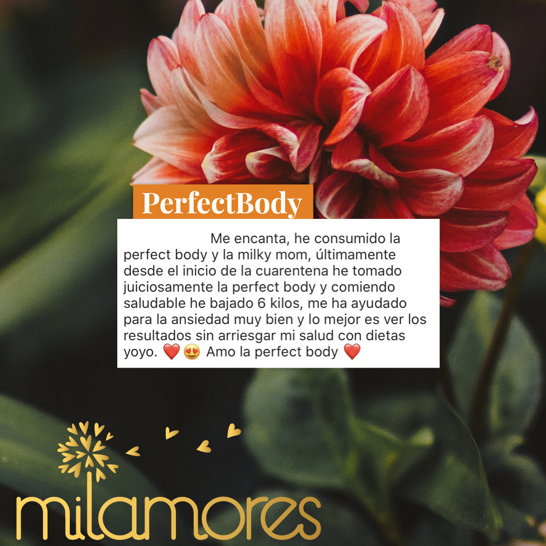 PerfectBody-Milamores-rebajarfacil