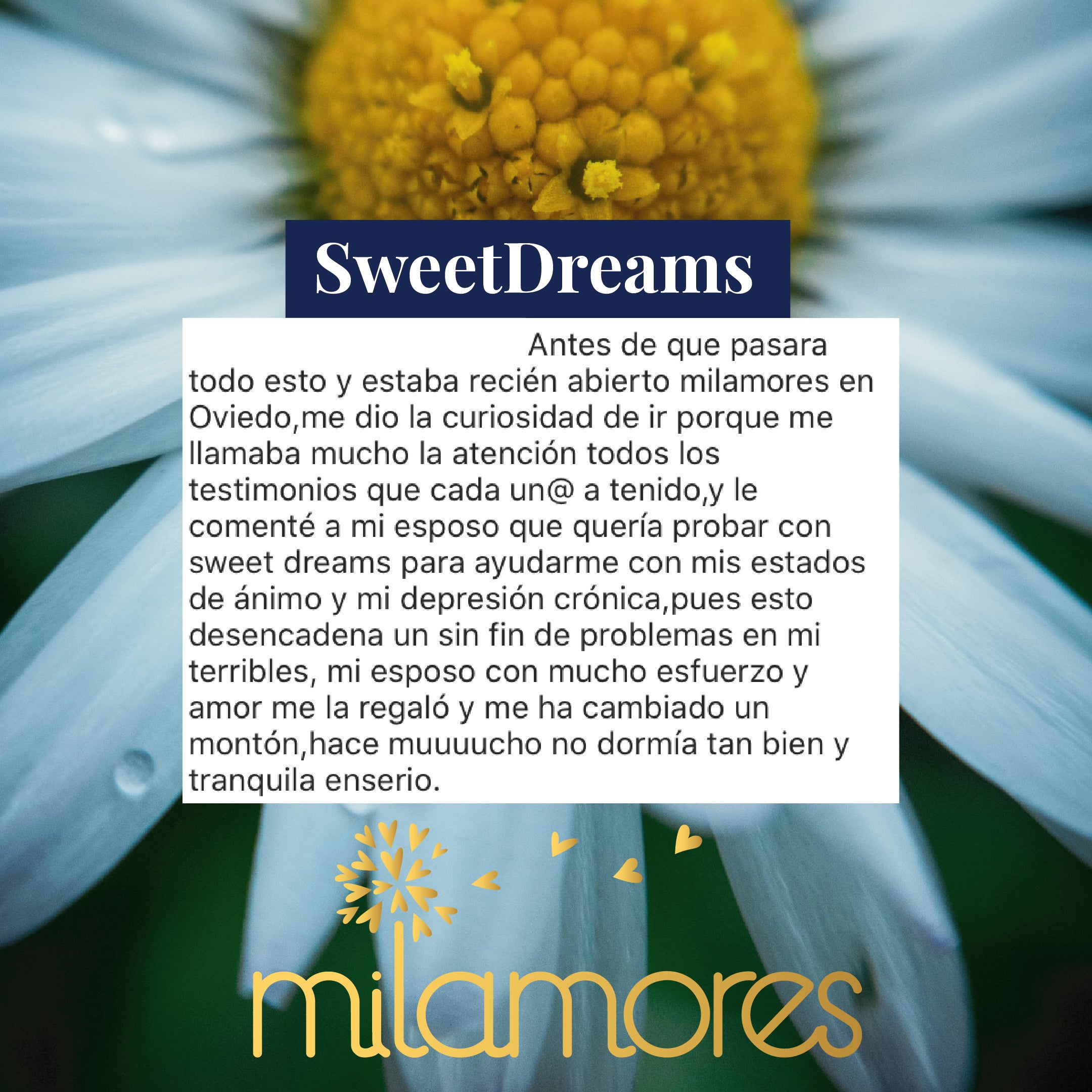 SweetDreams-Milamores-Traquilidad