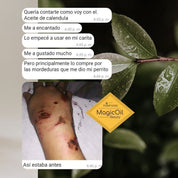 Testimonio MagicOil mordida de perro el antes