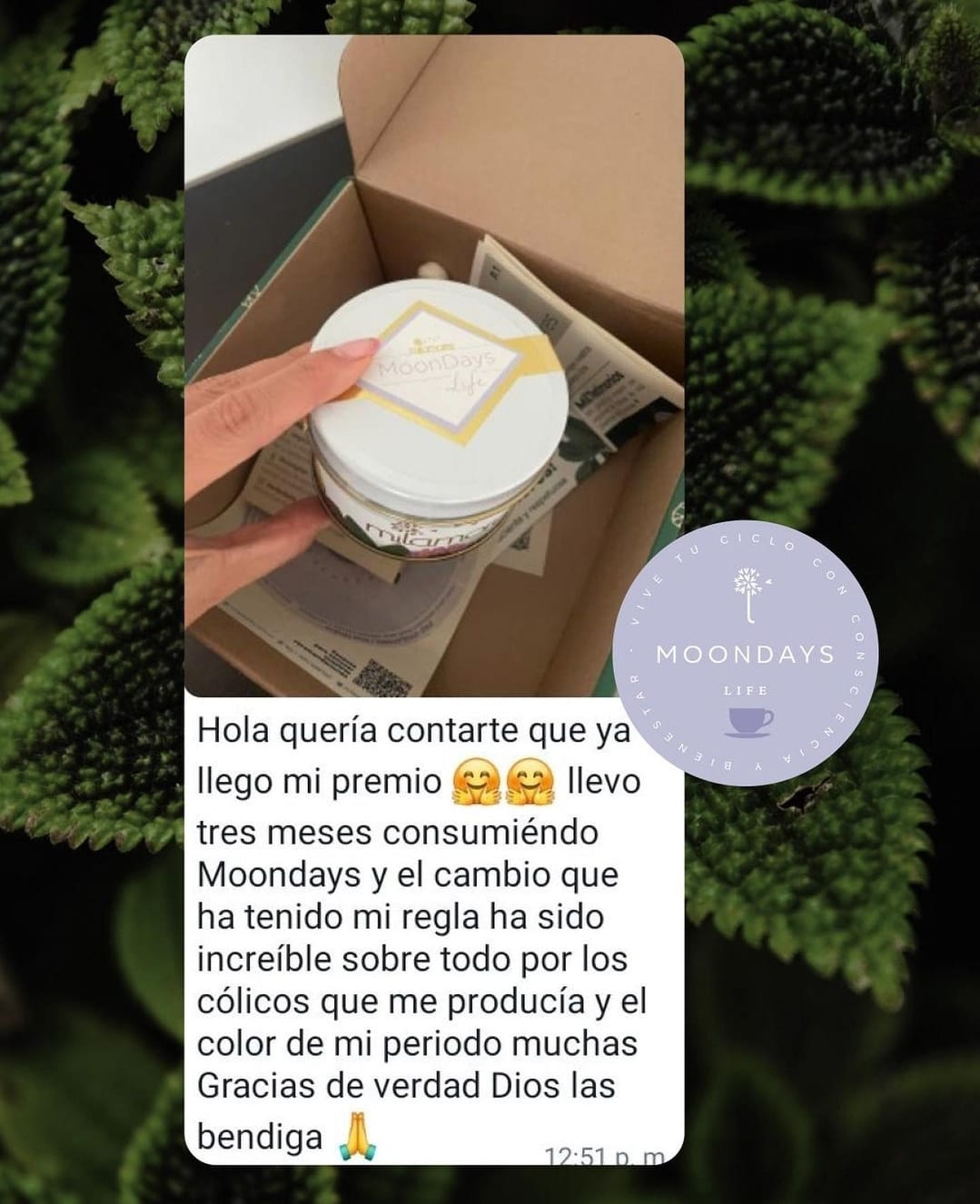 Testimonio infusion moondays de milamores
